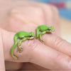 Tree Frog Ring - Buy 2 Free Shipping